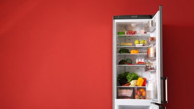 Ételekkel teli hűtő, piros háttér előtt
