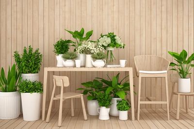 Zöld növények fehér és barna bútorok között