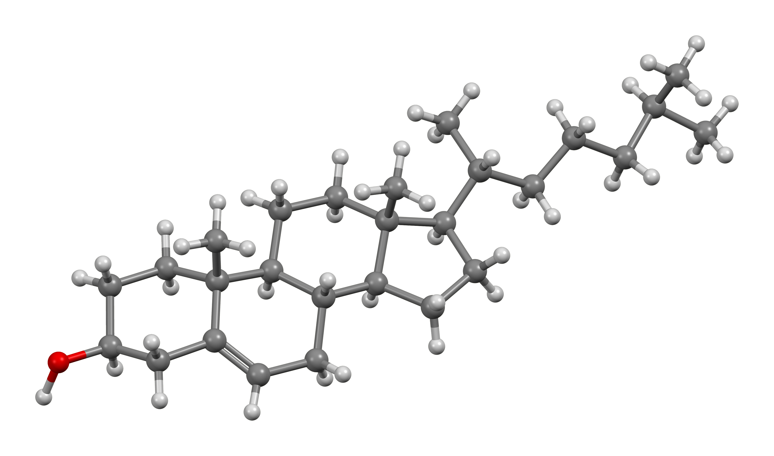 A koleszterinmolekula kristályszerkezet-modellje