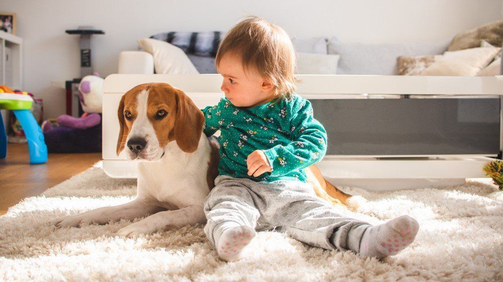 Két gyakori gyerekbetegséget​ csökkenthet az állattartás