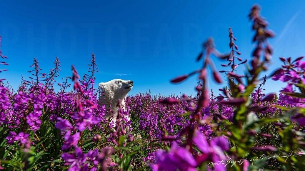 Ezek szerintünk az év legjobb természetfotói  —  díjra is jelölték őket