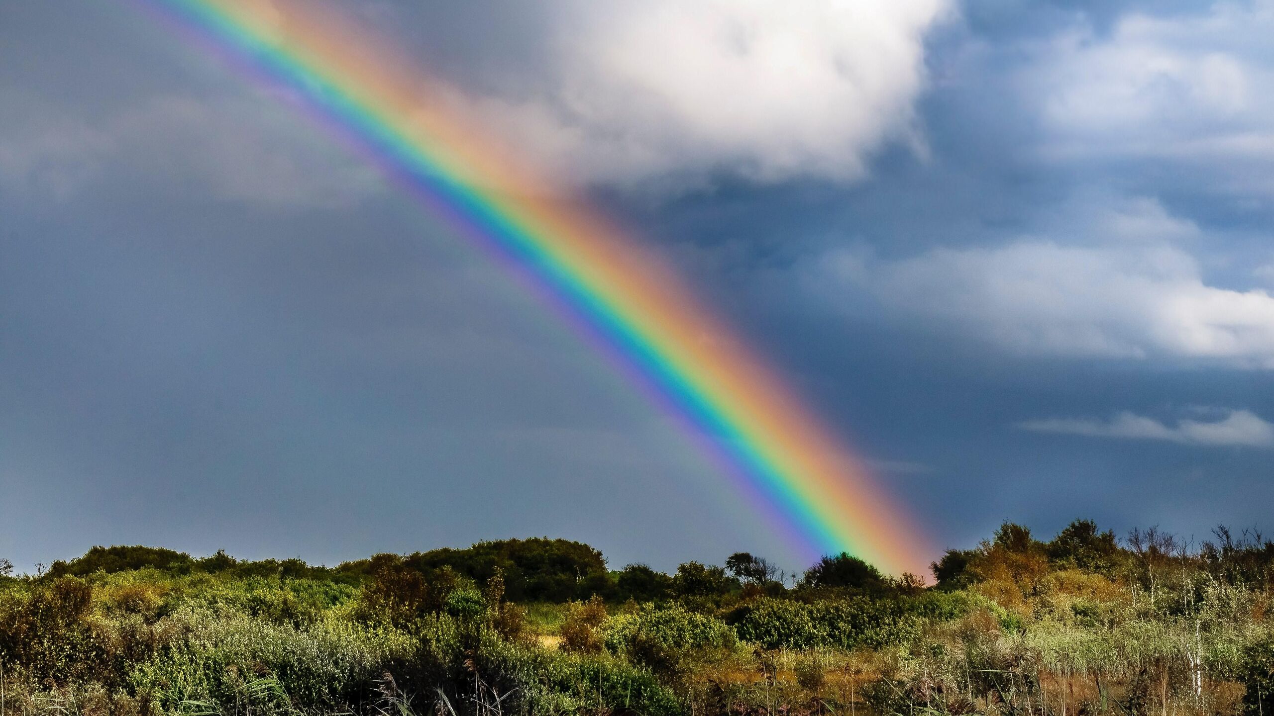 Egyre többször látható szivárvány az égen — mi az oka?​
