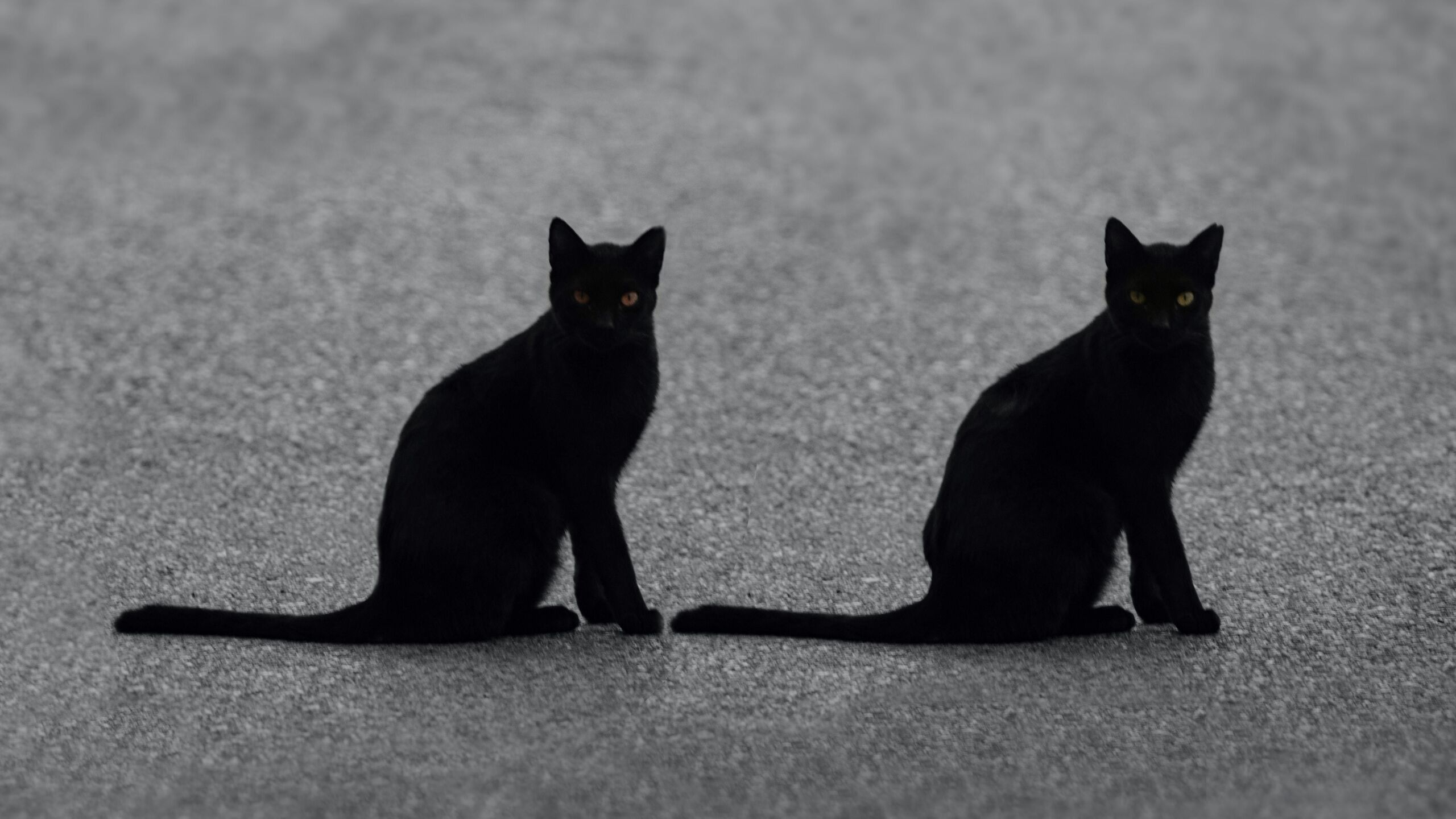 Rájöhettek a rejtélyes déjà vu érzés lehetséges magyarázatára