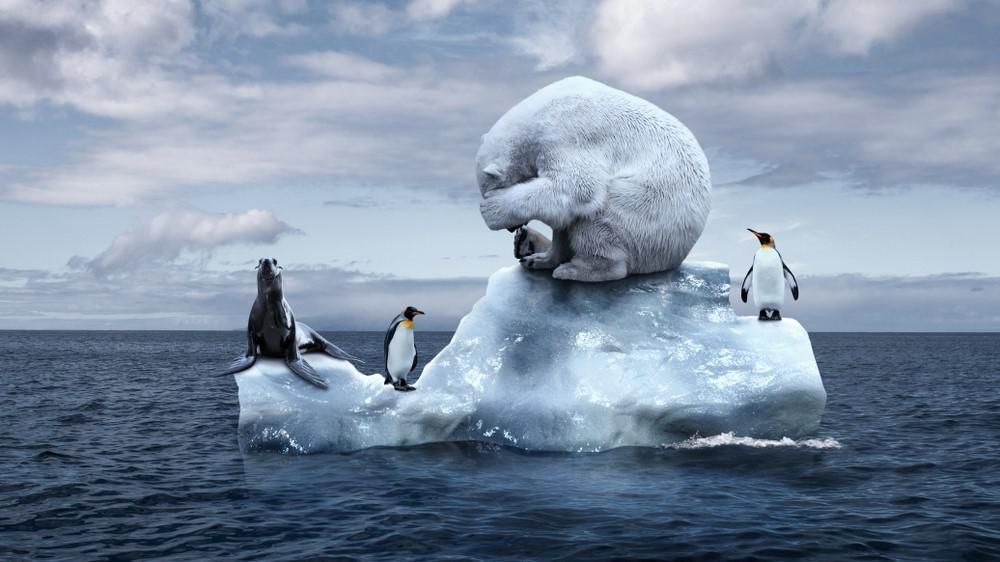 Közeledik a Föld hatodik tömeges kihalási időszaka? Erre lehet számítani​