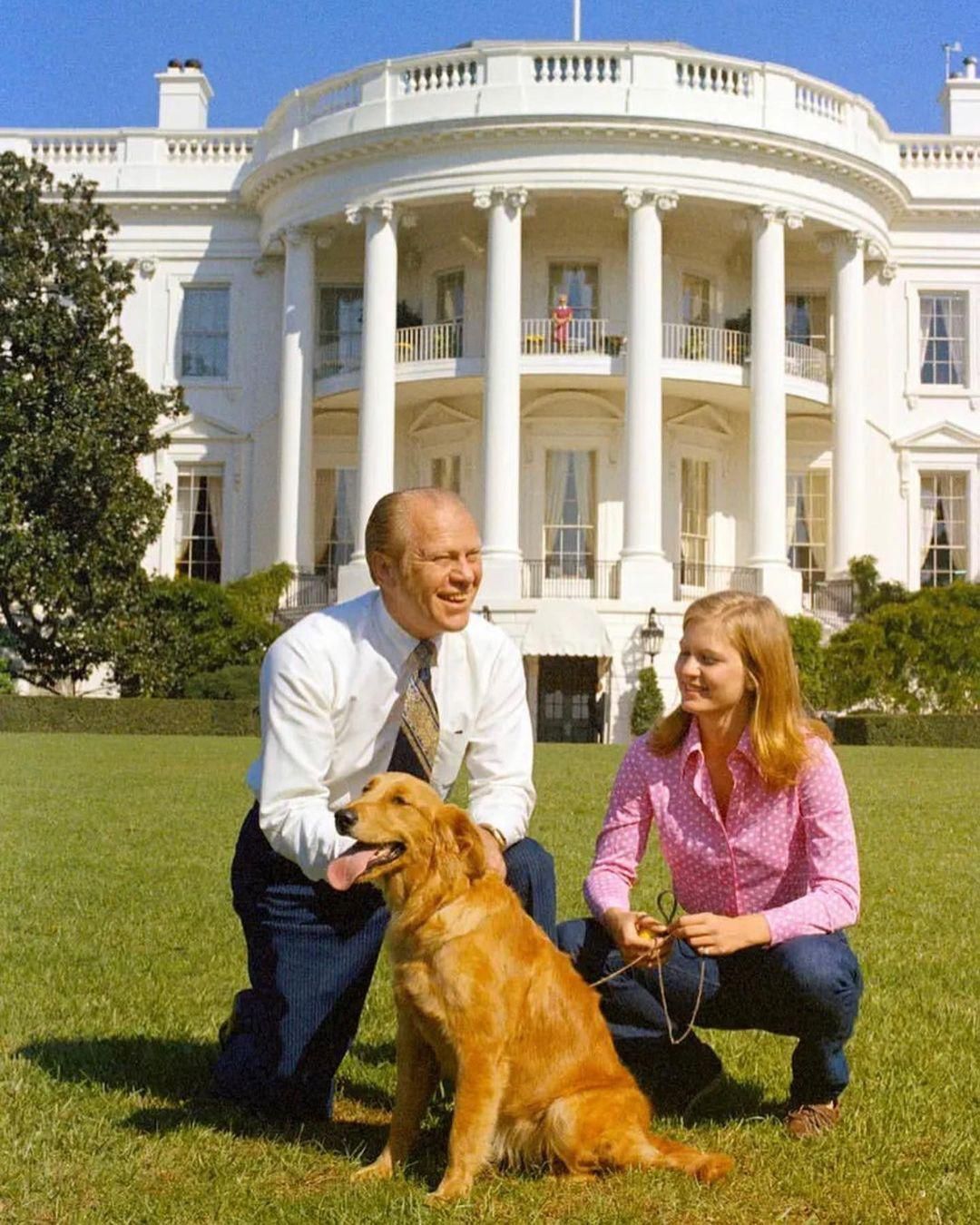 Ünnepeljük a golden retrieverek világnapját híres és cuki kutyákkal!