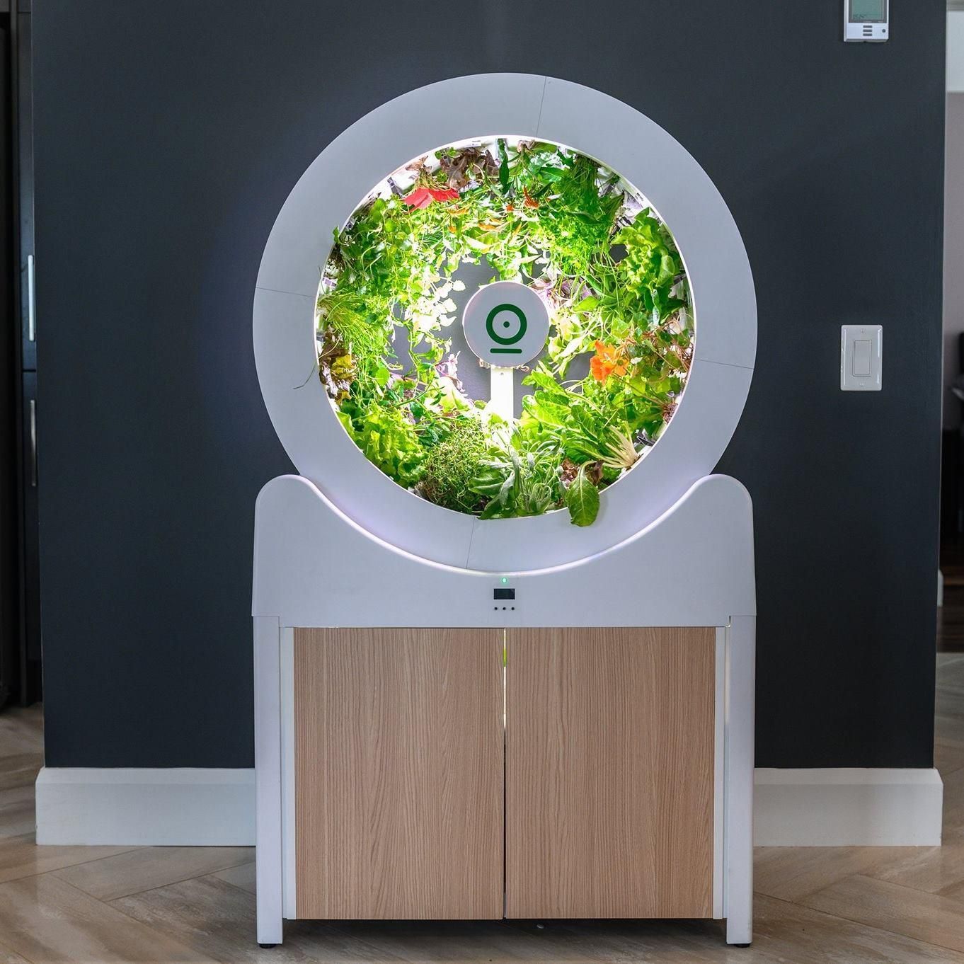 Ebben az okos zöldséges kertben a legsötétebb szobában is termelhetünk hazait