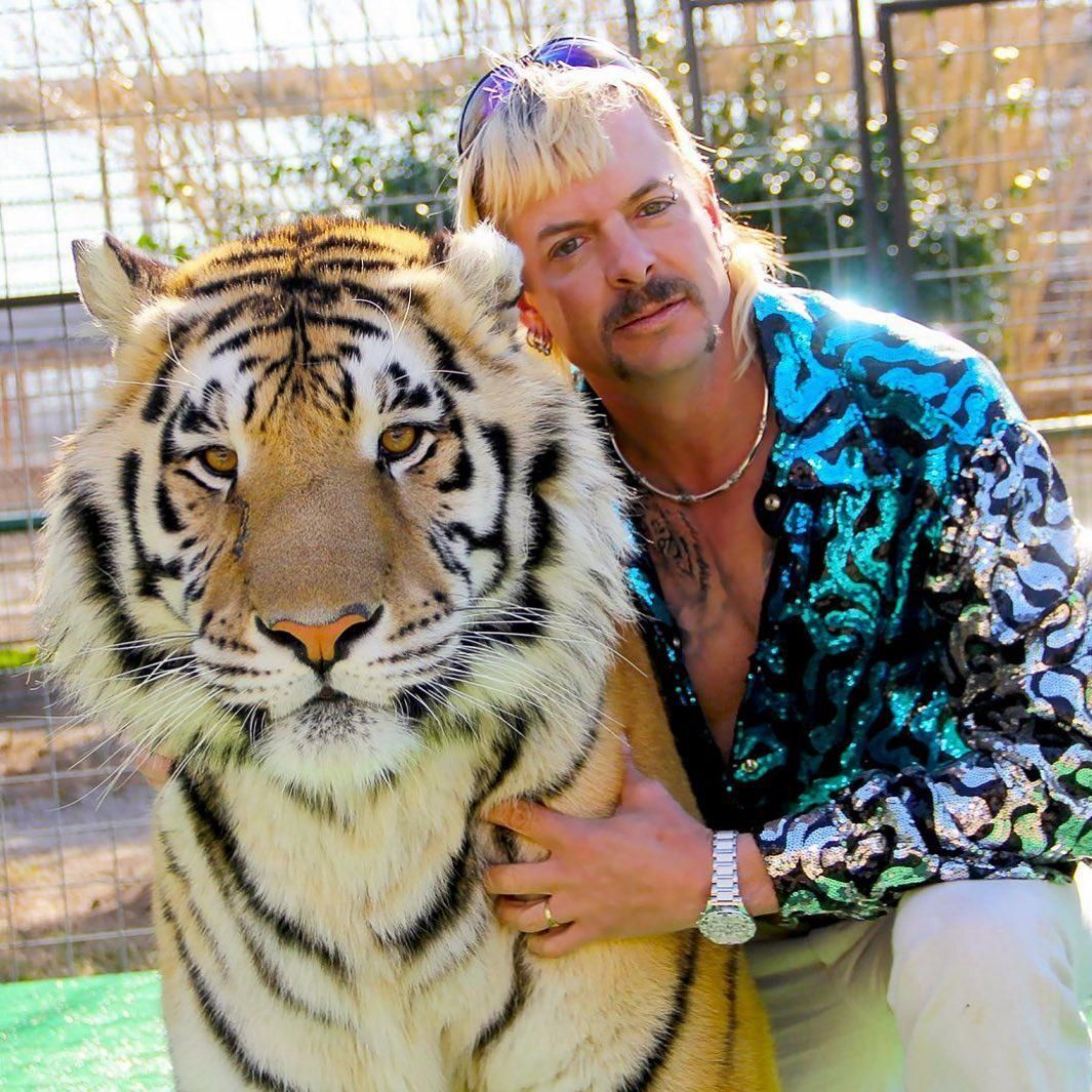 Jön a Tiger King folytatása
