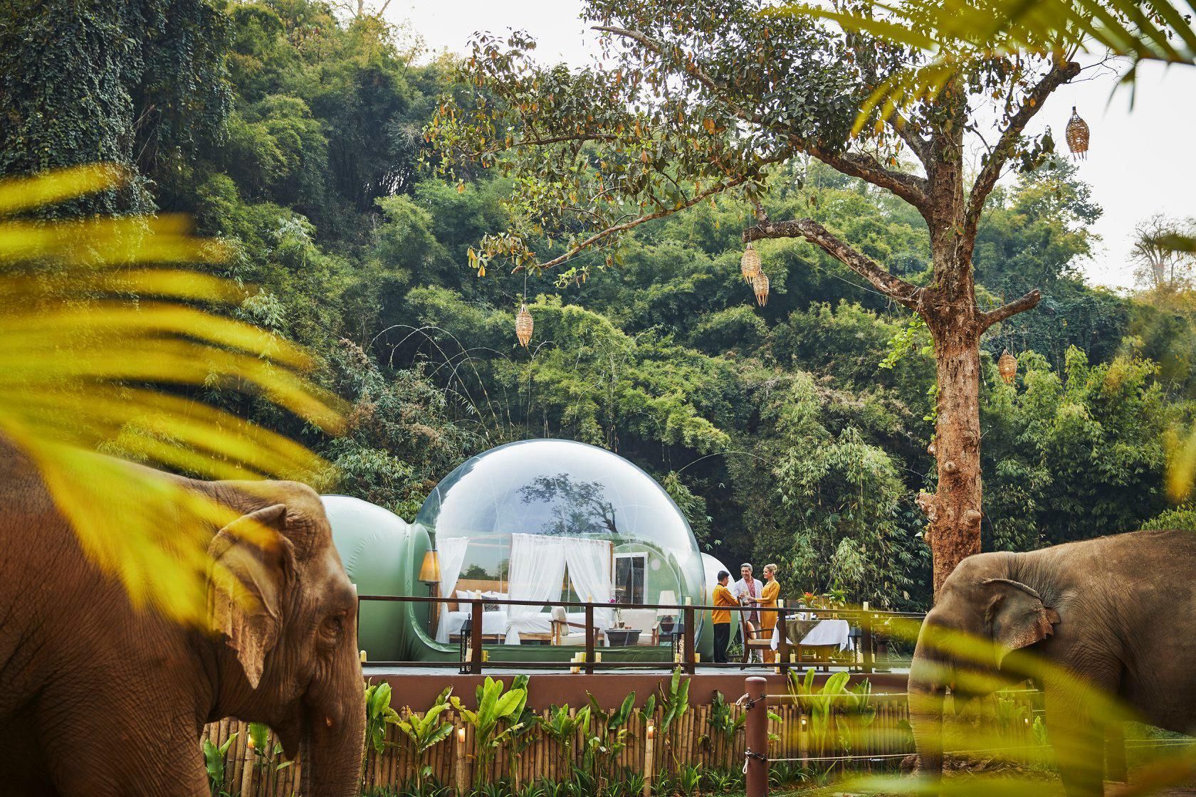 A glampinget és a vadlest ötvözi ez a thai szálloda