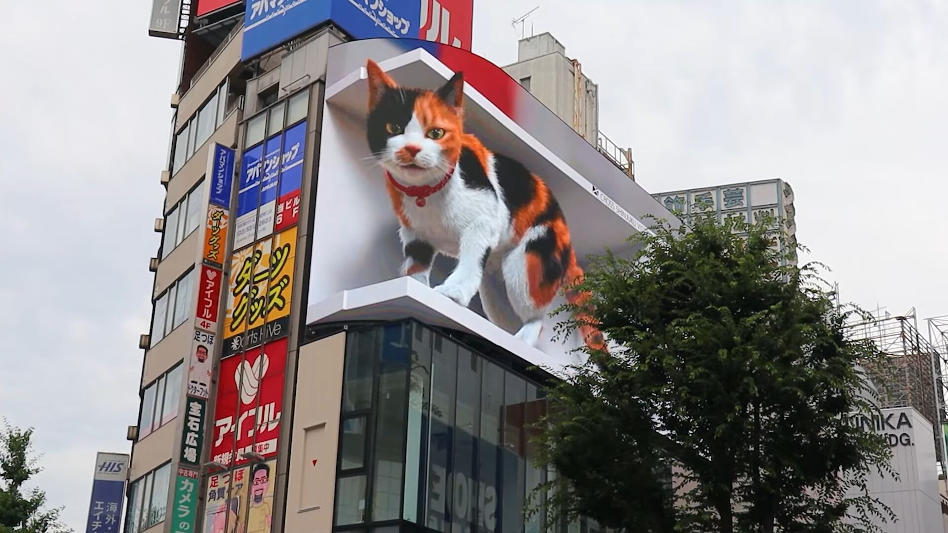 Egy óriási 3D-s macska üdvözli a járókelőket Tokió egyik metróállomásánál