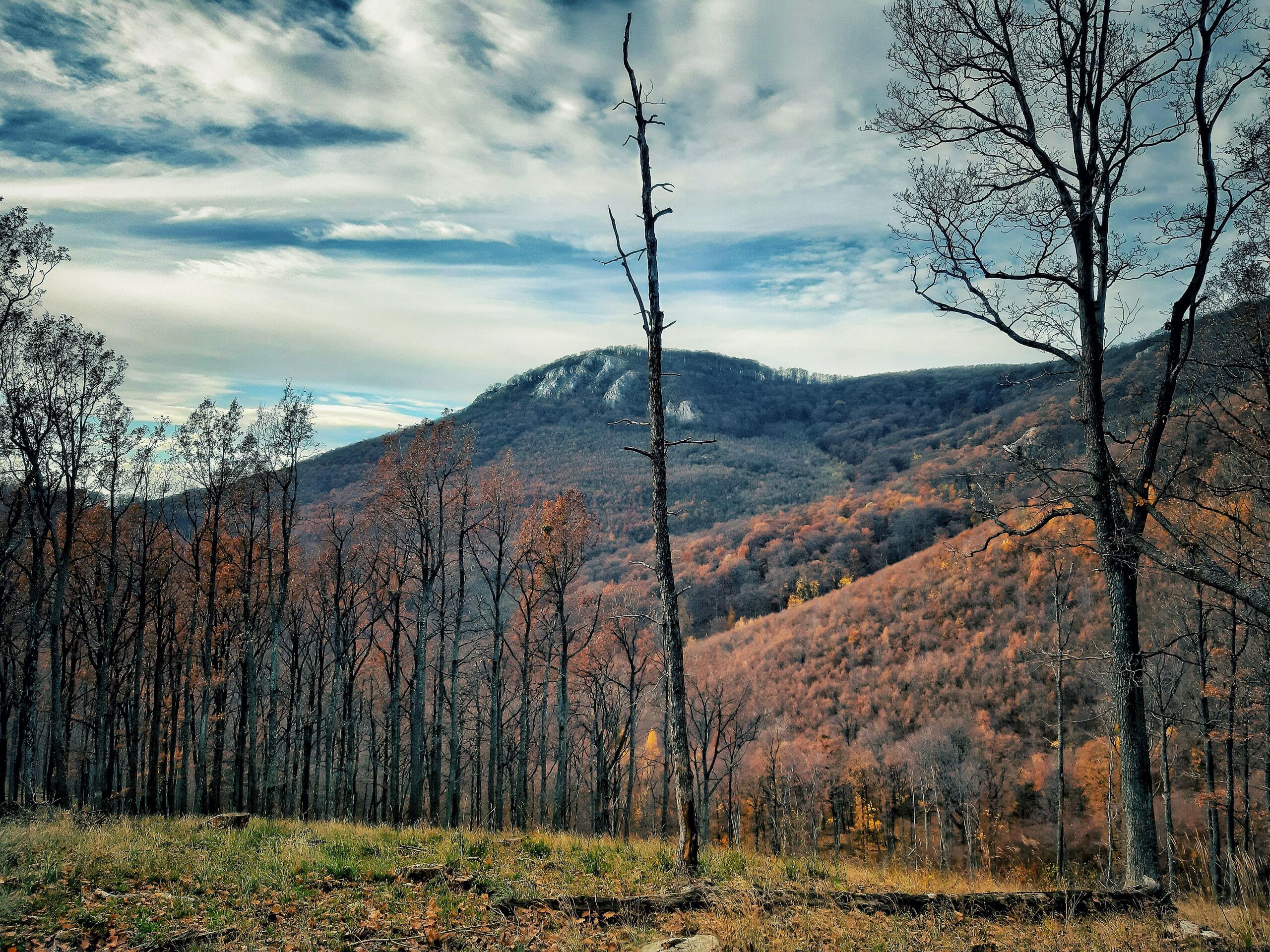 4 kihagyhatatlan látnivaló a Bükkben