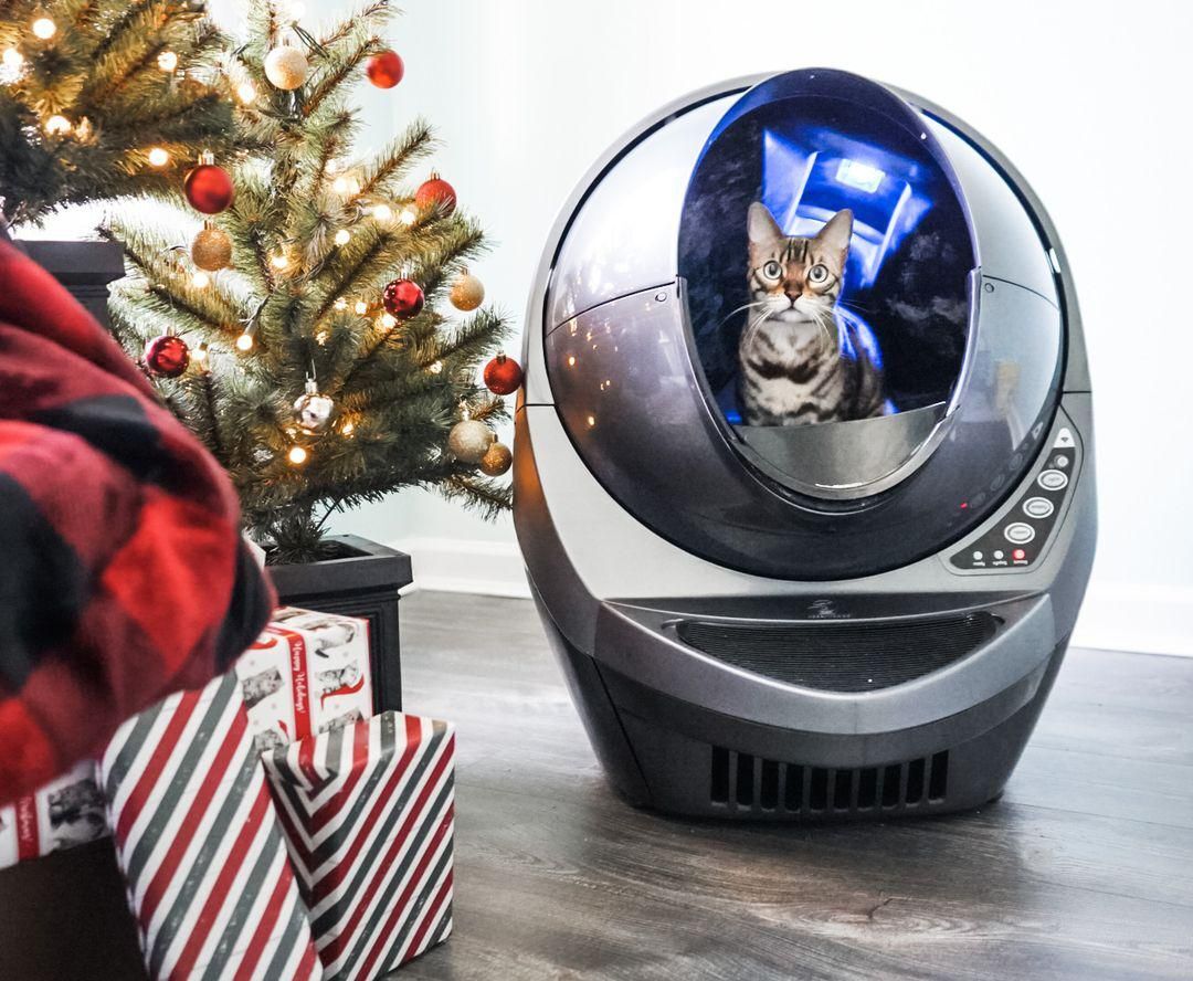 5 fantasztikus ajándékötlet állatbarátoknak