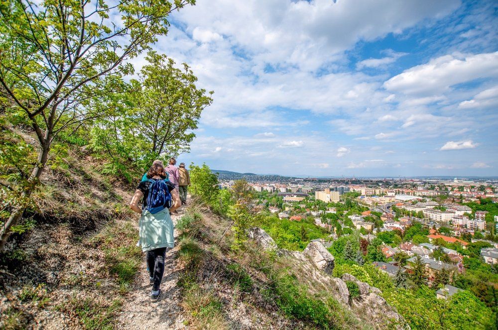 9 szuper kirándulóhely Budapesten és környékén, ha tavaszi viráglesre indulnál