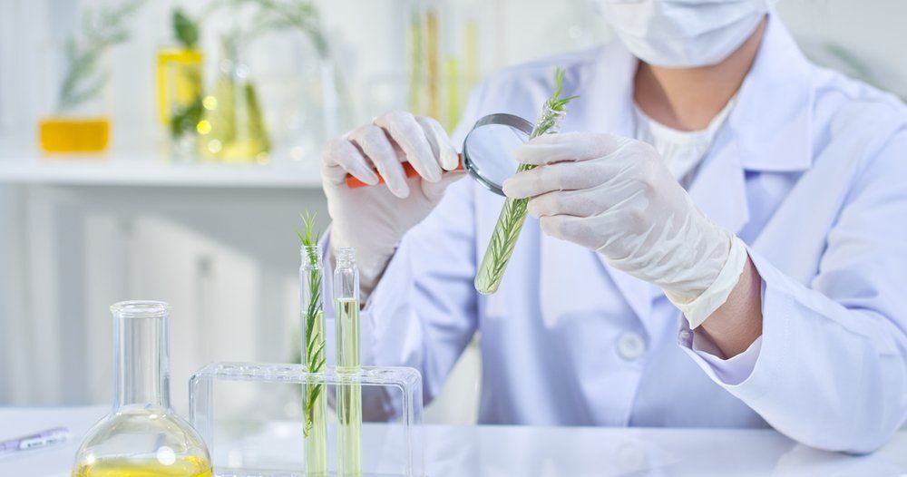 Jó hírünk van a zsálya és rozmaring kedvelői számára!