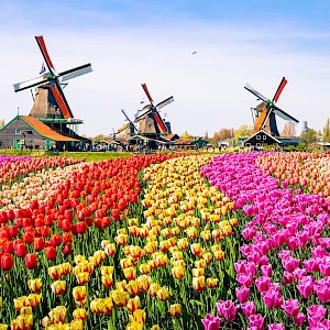 Olena Znak/Shutterstock