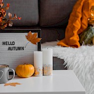 PhotoJuli86/Shutterstock