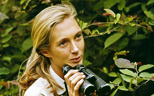 Jane Goodall 1965-ben / CBS via Getty Images