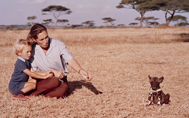 Jane Goodall 1973-ban családjával egy televíziós műsorban / Disney General Entertainment Content via Getty Images