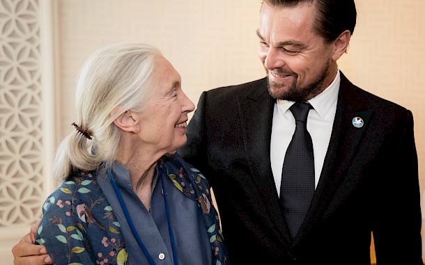 Jane Goodall és Leonardo DiCaprio 2016-ban / Giles Clarke, Getty Images