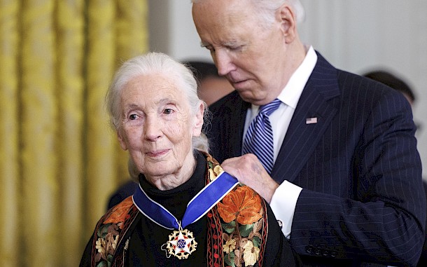 Jane Goodall kitüntetése 2025. jan. 4-én / Tom Brenner, Getty Images