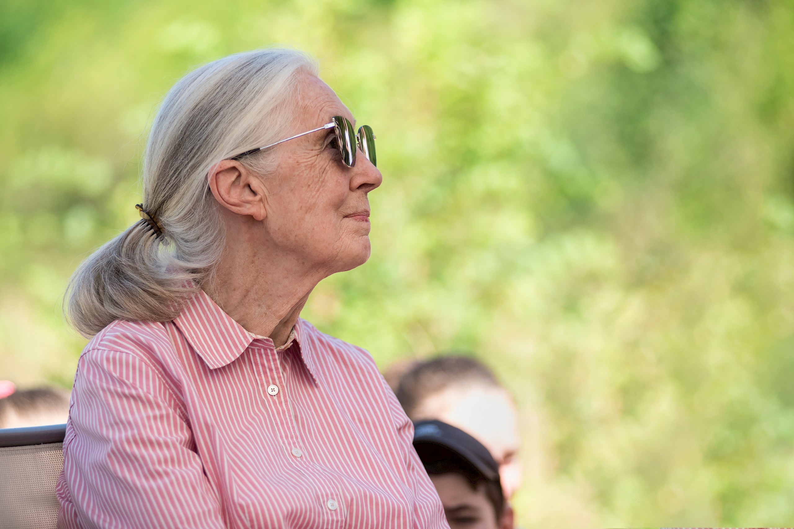 Jane Goodall kedvenc salátáját te is imádni fogod – recept!