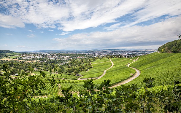 borvidék Heilbronn látképével / Markus Zeller, Shutterstock