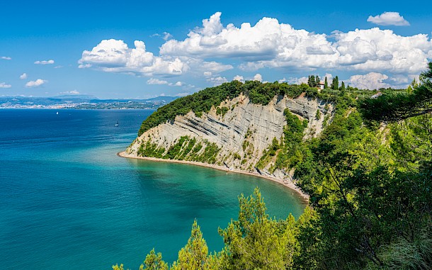 essevu/Shutterstock