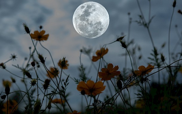 Onkamon/Shutterstock