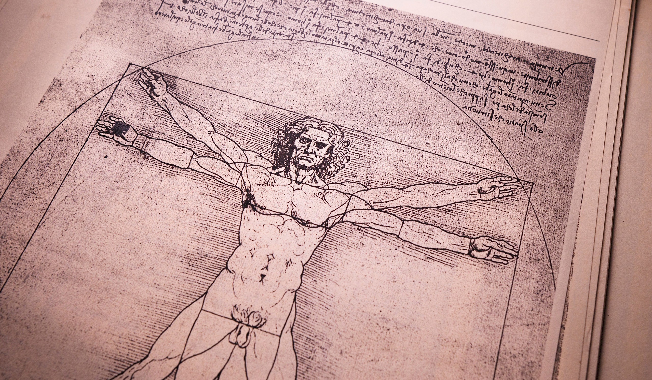 Egy titokzatos rajzrészlet megoldja Leonardo Da Vinci 500 éves rejtélyét