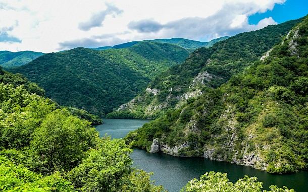 Ivan Nedelchev/Unsplash