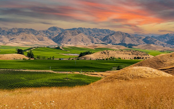 imagoDens/Shutterstock