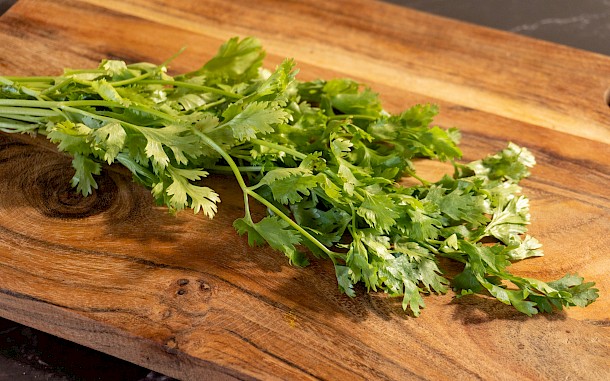 Raccoon Graphic/Shutterstock