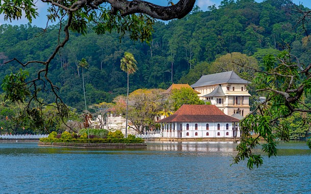 trabantos/Shutterstock