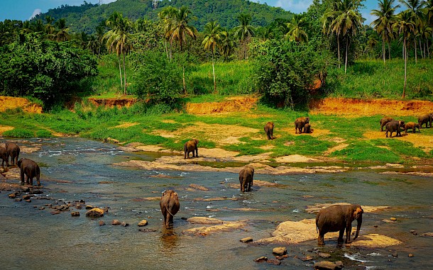 yaseminsrks/Shutterstock