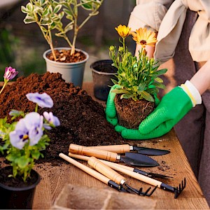 sergey kolesnikov/Shutterstock