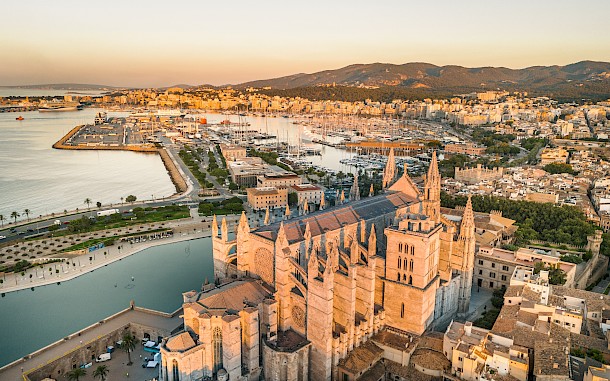 Yaroslav Syubayev/Shutterstock