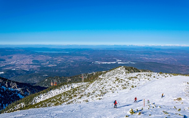 trabantos/Shutterstock