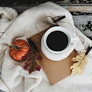 Debby Hudson/Unsplash