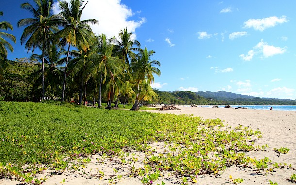 Beth Harvey/Shutterstock