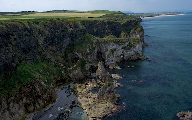 Eliana Grace/Shutterstock