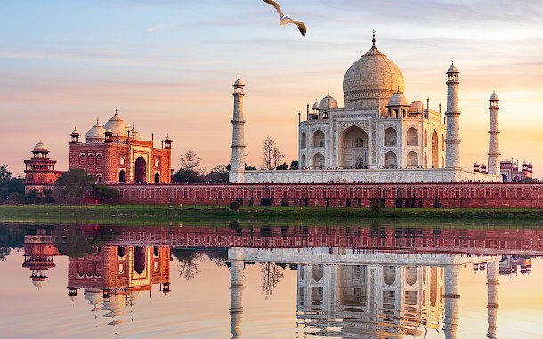 AlexAnton/Shutterstock