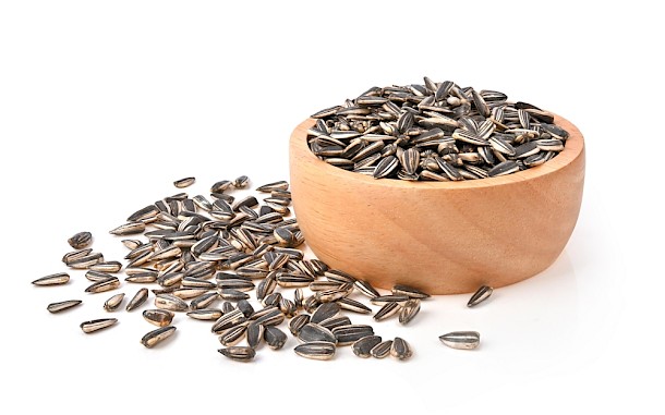 MacMontree/Shutterstock