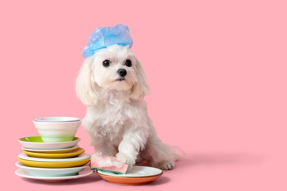 Ezért mossuk el az új konyhai eszközöket, mielőtt használnánk őket