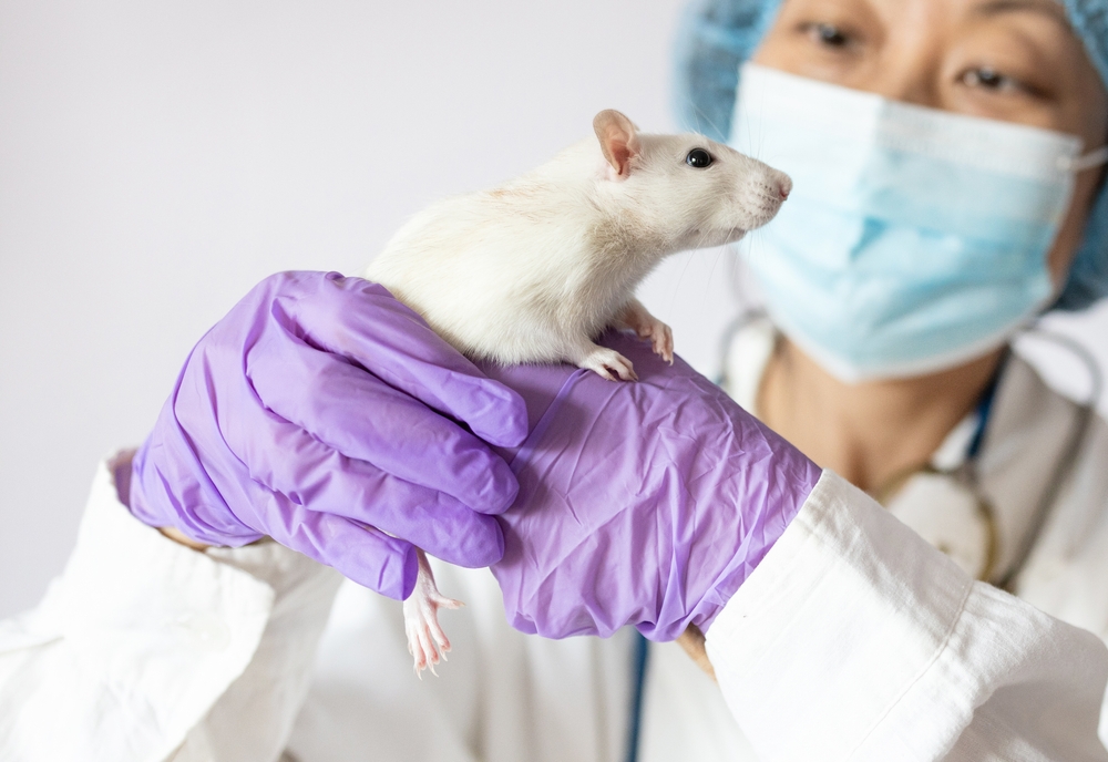 Új felfedezés hozhat áttörést az immunrendszer megfiatalításában