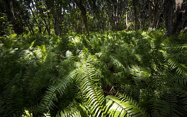 SanderMeertinsPhotography/Shutterstock