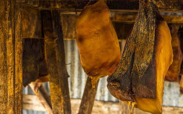 Alexander Schuessel, Shutterstock