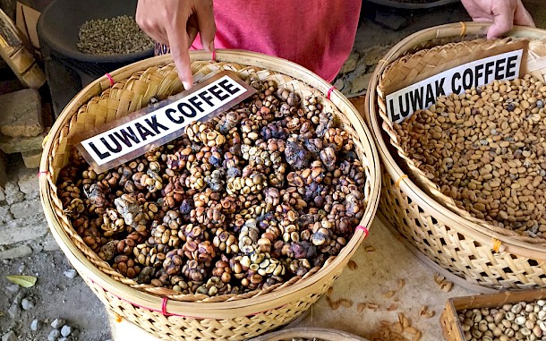 hedgehog111, Shutterstock