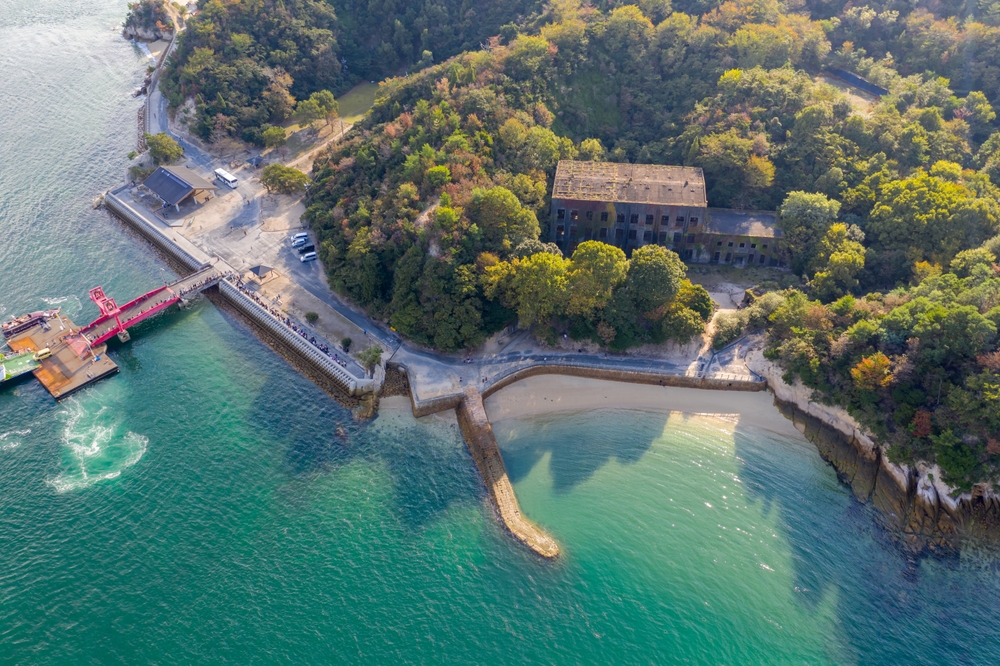 Japán Nyúlszigete: több mint ezer szabadon élő nyúl egy apró paradicsomban