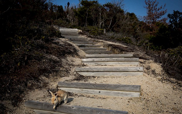 Chris McGrath/Getty Images