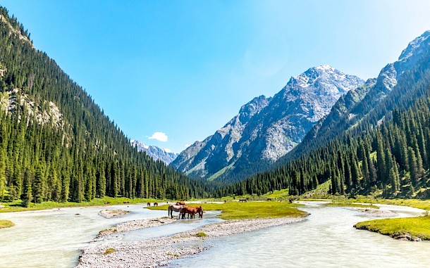 S Piracha Photo/Shutterstock