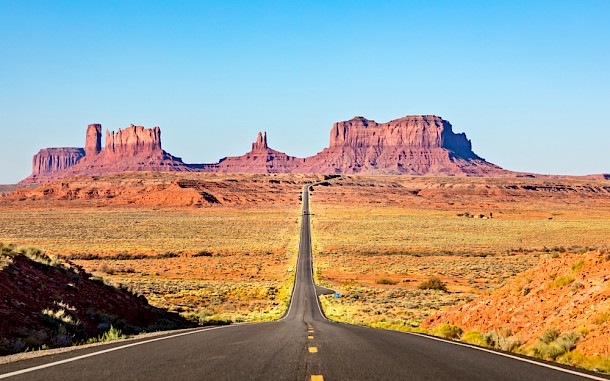 Martina Birnbaum/Shutterstock